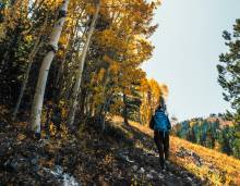 October in Aspen